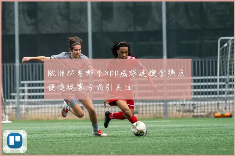 欧洲杯看哪个app成球迷搜索热点 便捷观赛方式引关注