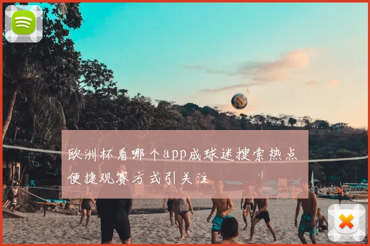 欧洲杯看哪个app成球迷搜索热点 便捷观赛方式引关注