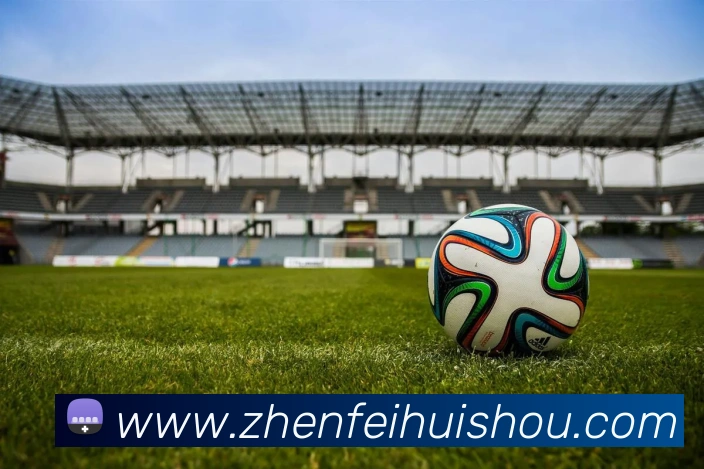 mksports官方网站平台生态图